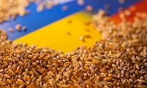 رومانيا تهدف إلى مضاعفة سرعة عبور الحبوب الأوكرانية