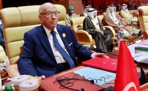 تونس تترأس القمة العربية الـ 30 بعد اعتذار البحرين:  الباجي قائد السبسي : نستضيف القمة التزاما بالقضايا العربية العادلة