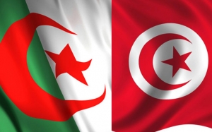 اللجنة الفنية المشتركة التونسية الجزائرية في مجال البريد والاتصال وتكنولوجيا الإعلام: اتفاقيات إطارية ومجالات تعاون واسعة بين البلدين