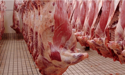 طارق بن جازية: تسعيرة « لحم العلوش » خلال رمضان في حدود 32 دينار