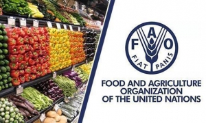 بدعم من تراجع أسعار الحبوب والزيوت النباتية ومنتجات الألبان: مؤشر «الفاو» لأسعار الأغذية ينخفض بنسبة 1.2 % خلال جويلية 2021