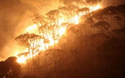 سليانة : حريق يأتي على 8 هكتارات من الغابات