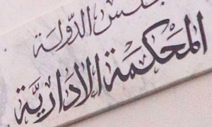 المحكمة الادارية: " دليل المواطن للنفاذ إلى القضاء الإداري بلغة "برايل".