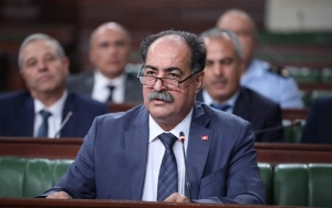 وزير الداخلية : تونس لن تكون دولة عبور أو توطين للمهاجرين غير النظاميين