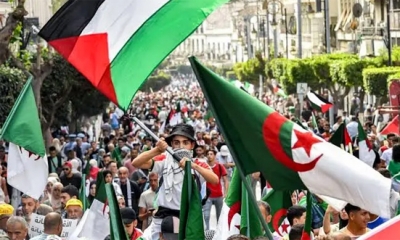 النقابة الوطنية لناشري الكتب في الجزائر تدين العدوان الصهيوني