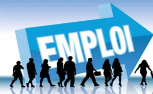 البطالة وتحديات كل الحكومات: 30 ألف وظيفة تخلق سنويا وتوظيف 5 % فقط من إجمالي طالبي الشغل سنويا
