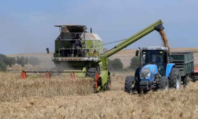 تراجع محصول القمح بنسبة 17 % في شمال افريقيا