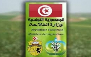 وزير الفلاحة يدعو إلى تفعيل الصندوق المخصص للبلدان المجاحة من التغيرات المناخية لتجابه تونس الشحَ المائي