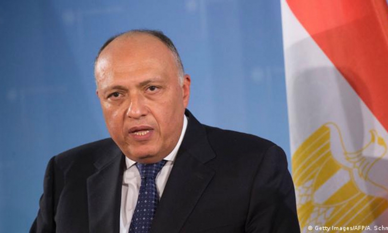وزير الخارجية المصري يؤكد أهمية الدور العربي في حل الأزمة السورية
