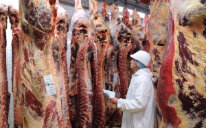 بعد تأخر توريد اللحوم المبردة عن موعدها بأسبوعين:  تخوف المهنيين من ضعف الكميات الموردة وتوقعات بارتفاع أسعار اللحوم المحلية خلال شهر رمضان