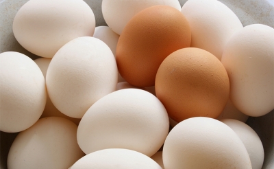 حول تحديد الأسعار القصوى لبيع البيض المعد للاستهلاك