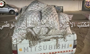 قابس : حجز كمية من مادة الشعير المدعم