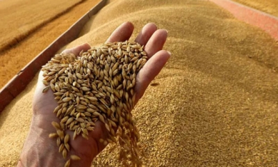 تونس ستستورد 250 ألف طن من القمح من فرنسا لموسم 2022 – 2023