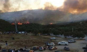 أريانة : نشوب حريق في جبل النحلي وتواصل المجهودات للسيطرة عليه