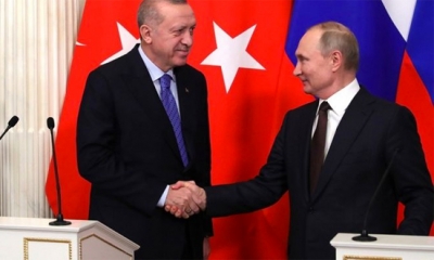 بوتين خلال لقاء أردوغان: سنُرسل الحبوب مجاناً لـ6 دول أفريقية