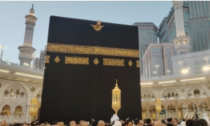 جامعة وكالات الأسفار