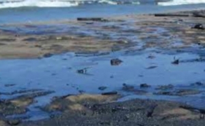 حول كميات التلوث النفطي في سواحل جزيرة قرقنة والشابة... :  تناقض جديد بين وزارة الفلاحة واتحاد الفلاحين ... فهل يفتح ملف التلوث البحري؟