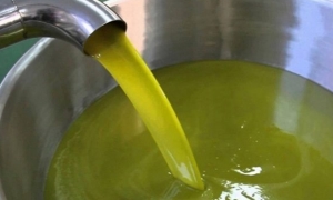 تكليف ديوان الزيت بإعداد مخزون من زيت الزيتون باعتماد أسعار مشجعة