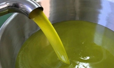 وزير الفلاحة: تكليف ديوان الزيت بإعداد مخزون من زيت الزيتون باعتماد أسعار مشجعة