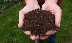 جرجيس : يوم تحسيسي الثلاثاء القادم بالموانسة للتعريف بسماد الكومبوست COMPOST