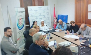 ورشة عمل دولية بتونس