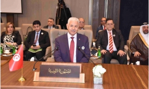 القمة العربية التنموية    