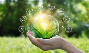  المعركة البيئية إلى ثورة صناعية خضراء