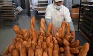 جميع المخابز في ولاية القصرين