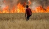 الجزائر: اندلاع حرائق الغابات في 7 ولايات