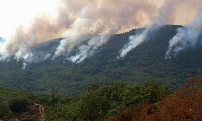 بعد تسجيل مؤشرات انفراج مؤقتة  عودة متضرري حرائق جندوبة الى منازلهم بعدد من قرى معتمدية طبرقة