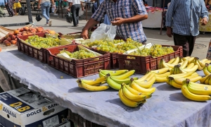 عزوف على توريد الموز بعد ضبط سعره