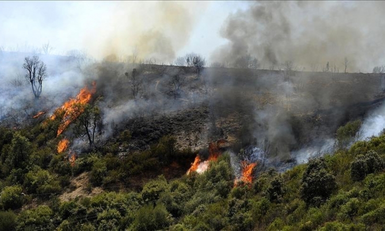 إخماد 37 حريقا دون تسجيل خسائر بشرية شمال الجزائر