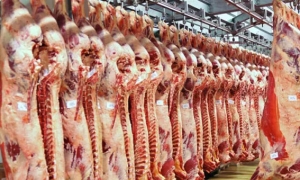 انخفاض طفيف في مؤشر اسعار اللحوم العالمي