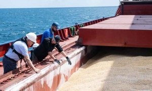 مبادرة تصدير الحبوب الأوكرانية تمضي ببطء بعد تمديدها