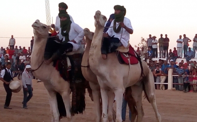 افتتاح المهرجان المغاربي سيدي علي بنعون للفروسية:  حضور أكثر من 50 ألف زائر من مختلف جهات البلاد ومن الدول الشقيقة