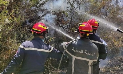 الديوان الوطني للحماية المدنية: أكثر من 250 حريقا منذ بداية شهر ماي