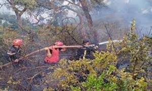 حريق غابة ملولة بطبرقة: تضرّر 500 هكتار و4 منازل