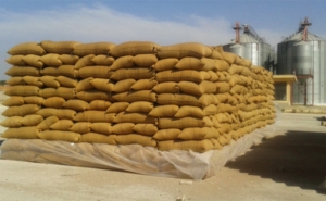 المدير العام لديوان الحبوب «المغرب»: مخزون الحبوب يكفي لأشهر...ولا يوجد أي إشكال على مستوى تزويد المطاحن بالقمح