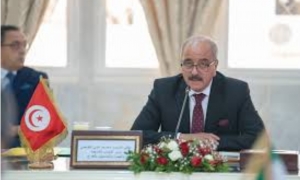 وزير الخارجية: تم تأمين العودة الطوعية لـ 10 آلاف مهاجر‎ من جنوب الصحراء