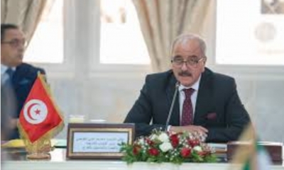 وزير الخارجية: تم تأمين العودة الطوعية لـ 10 آلاف مهاجر‎ من جنوب الصحراء