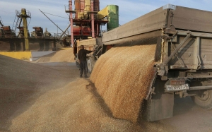 تونس تواصل شراءات القمح اللين وتطرح مناقصة لشراء 67 ألف طن