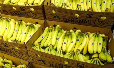القصرين: حجز كميات من الموز