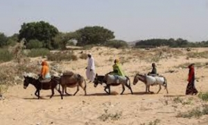 تقرير أممي.. ستة آلاف شخص فروا من السودان إلى إفريقيا الوسطى