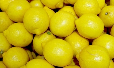 حجز كمية من الليمون تقدر قيمتها بـ141 ألف دينار