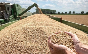 تحت تأثير ارتفاع قيمة واردات القمح اللين بأكثر من 110 %: الميزان التجــاري الغــذائي يسجّــل عجـزا بقيمة 71 مليون  دينــار خـــلال الشهــر الأول من 2021