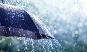 تصل إلى 70 مليمترا.. أمطار غزيرة في عدة جهات غدا وبعد غد