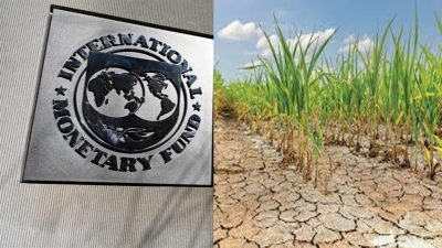 الجفاف يدفع الأرجنتين لإعادة صياغة برنامجها مع صندوق النقد الدولي