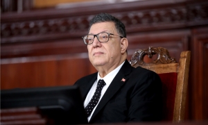 تصريحات نائب حول اغتصاب مهاجرة افريقية