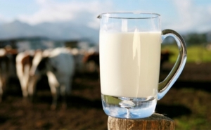 كان مقررا تنفيذه يوم غد:  اتحاد الفلاحين يؤجل قرار وقف إنتاج الحليب إلى الأسبوع المقبل ويربطه بنتائج اجتماع لجنة 5 زائد 5