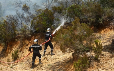 السيطرة على كل الحرائق...   بعد الجرد تضرّر 13 منزلا بكل من عين دراهم وفرنانة